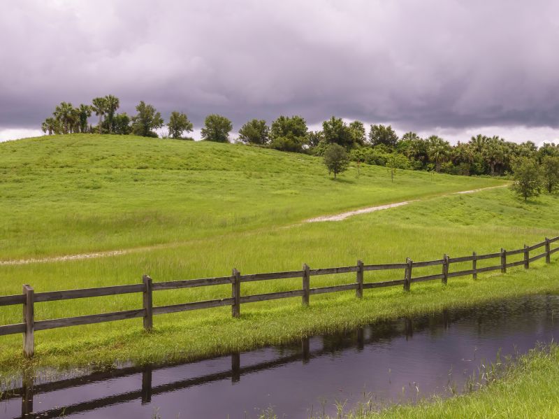 Split Rail Fence in Spring