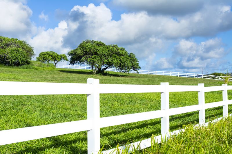 Understanding Split Rail Fencing Costs — Cost of Split Rail Fencing